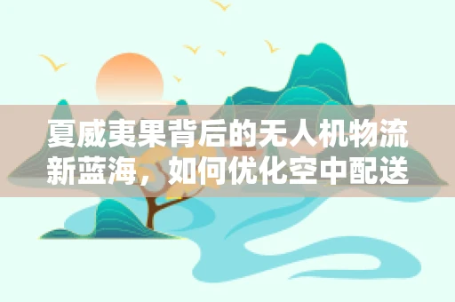 夏威夷果背后的无人机物流新蓝海，如何优化空中配送效率？