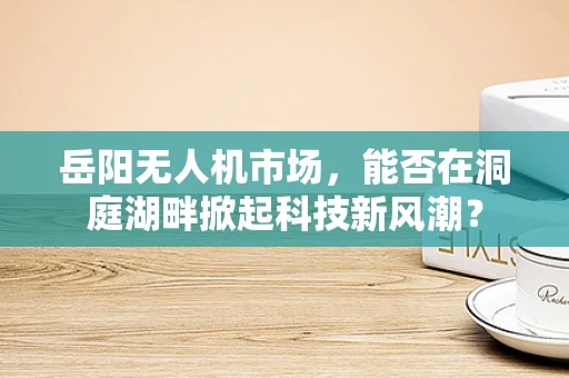 岳阳无人机市场，能否在洞庭湖畔掀起科技新风潮？