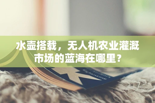 水壶搭载，无人机农业灌溉市场的蓝海在哪里？