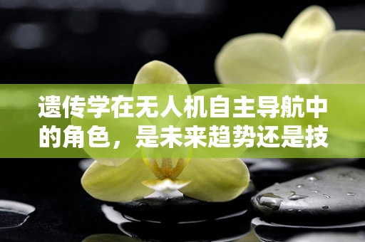 遗传学在无人机自主导航中的角色，是未来趋势还是技术迷思？