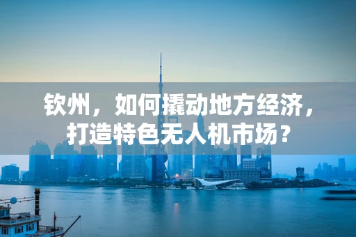 钦州，如何撬动地方经济，打造特色无人机市场？