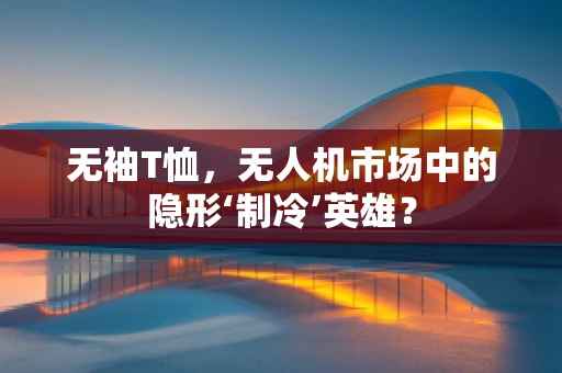 无袖T恤，无人机市场中的隐形‘制冷’英雄？