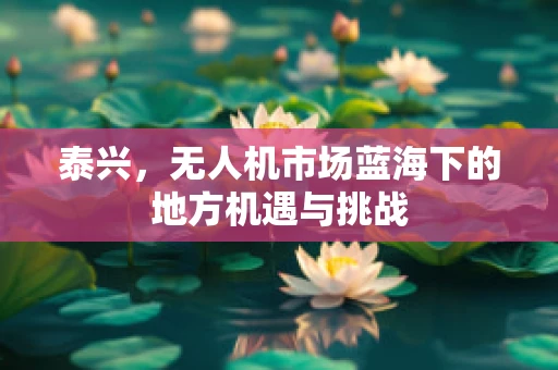 泰兴，无人机市场蓝海下的地方机遇与挑战