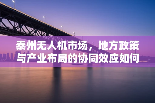 泰州无人机市场，地方政策与产业布局的协同效应如何最大化？