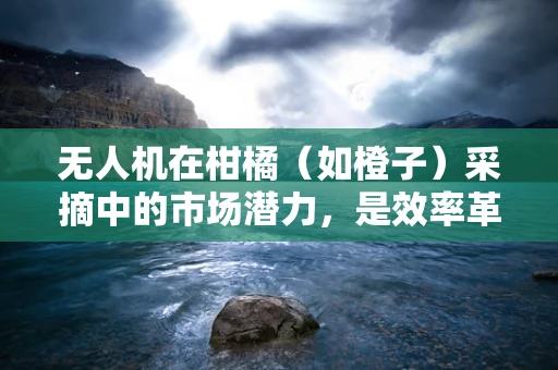无人机在柑橘（如橙子）采摘中的市场潜力，是效率革命还是成本陷阱？