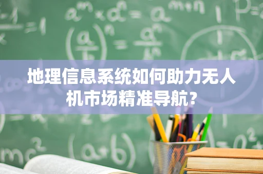 地理信息系统如何助力无人机市场精准导航？
