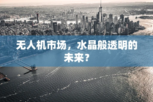 无人机市场，水晶般透明的未来？