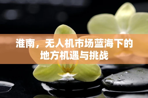 淮南，无人机市场蓝海下的地方机遇与挑战