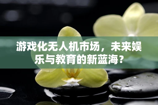 游戏化无人机市场，未来娱乐与教育的新蓝海？