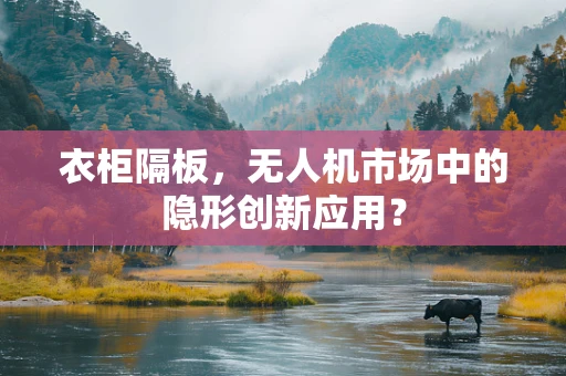 衣柜隔板，无人机市场中的隐形创新应用？