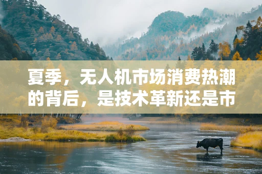夏季，无人机市场消费热潮的背后，是技术革新还是市场需求？
