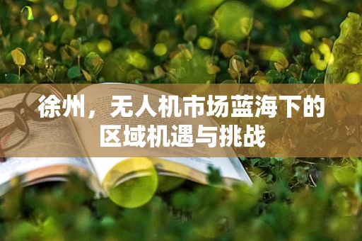 徐州，无人机市场蓝海下的区域机遇与挑战