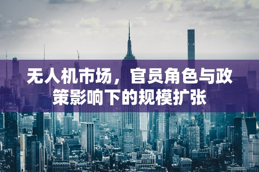 无人机市场，官员角色与政策影响下的规模扩张