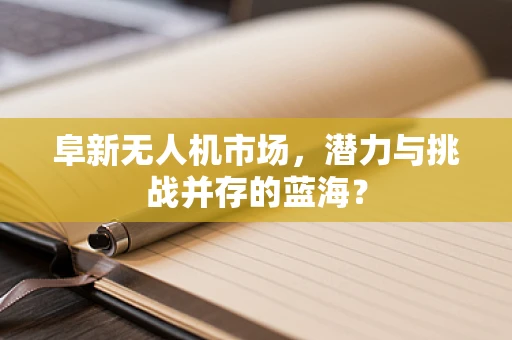 阜新无人机市场，潜力与挑战并存的蓝海？