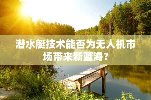 潜水艇技术能否为无人机市场带来新蓝海？