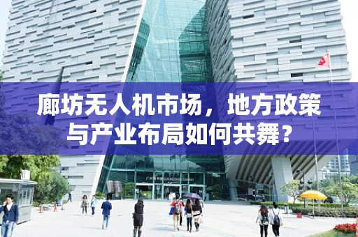 廊坊无人机市场，地方政策与产业布局如何共舞？