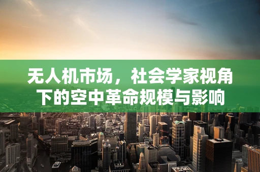 无人机市场，社会学家视角下的空中革命规模与影响