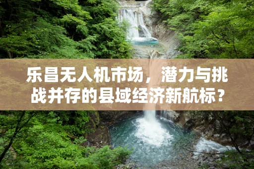 乐昌无人机市场，潜力与挑战并存的县域经济新航标？