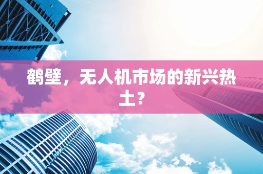 鹤壁，无人机市场的新兴热土？