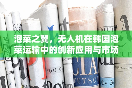 泡菜之翼，无人机在韩国泡菜运输中的创新应用与市场潜力