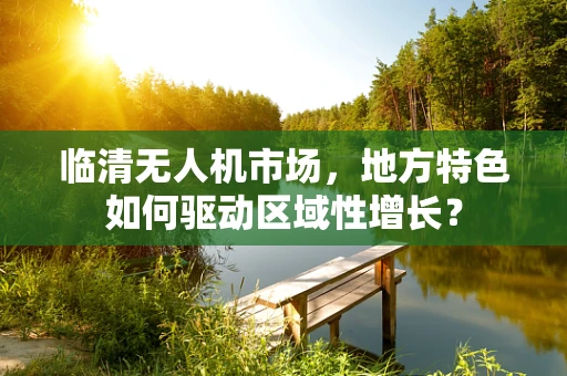 临清无人机市场，地方特色如何驱动区域性增长？