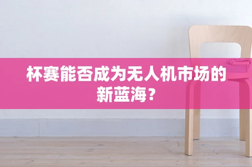杯赛能否成为无人机市场的新蓝海？