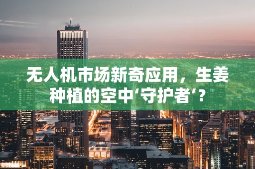 无人机市场新奇应用，生姜种植的空中‘守护者’？