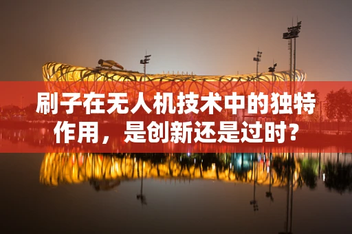 刷子在无人机技术中的独特作用，是创新还是过时？
