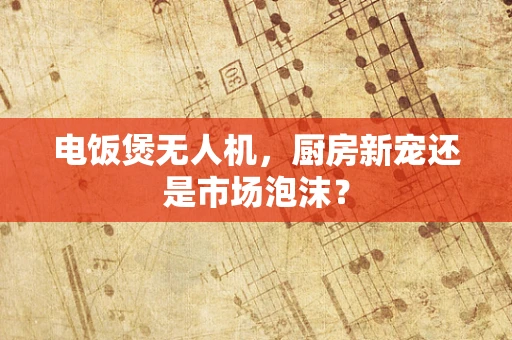 电饭煲无人机，厨房新宠还是市场泡沫？