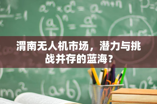 渭南无人机市场，潜力与挑战并存的蓝海？