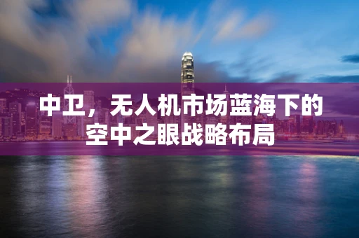 中卫，无人机市场蓝海下的空中之眼战略布局