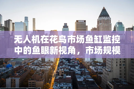 无人机在花鸟市场鱼缸监控中的鱼眼新视角，市场规模与潜力何在？