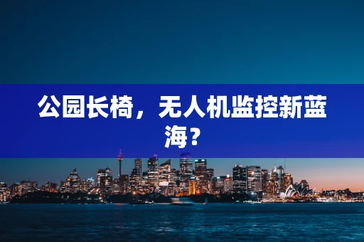 公园长椅，无人机监控新蓝海？