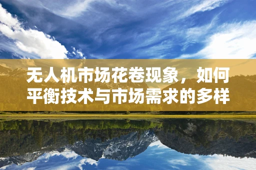 无人机市场花卷现象，如何平衡技术与市场需求的多样性？