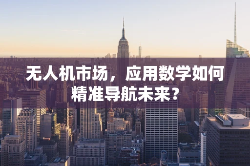 无人机市场，应用数学如何精准导航未来？