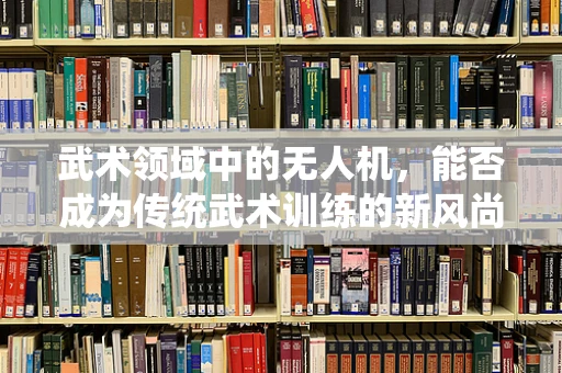 武术领域中的无人机，能否成为传统武术训练的新风尚？
