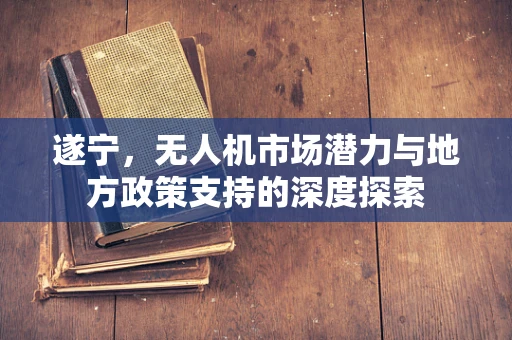 遂宁，无人机市场潜力与地方政策支持的深度探索