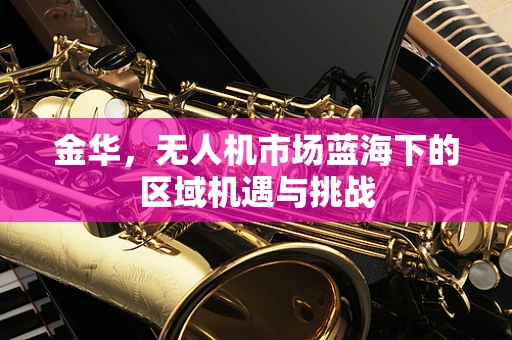 金华，无人机市场蓝海下的区域机遇与挑战