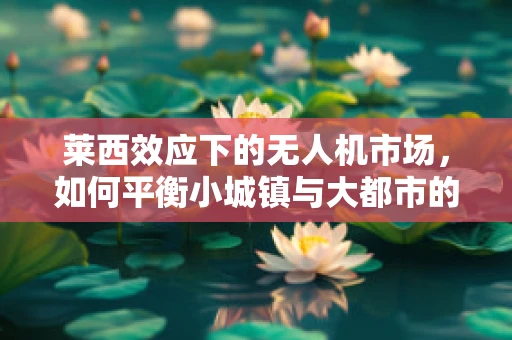 莱西效应下的无人机市场，如何平衡小城镇与大都市的差异化需求？