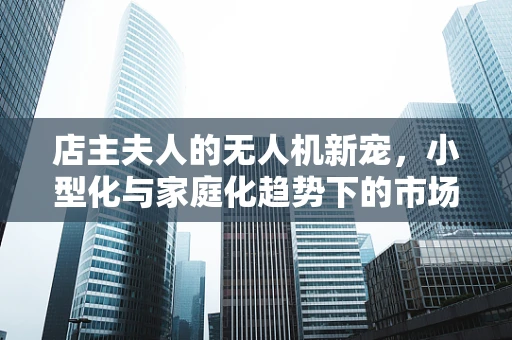 店主夫人的无人机新宠，小型化与家庭化趋势下的市场潜力