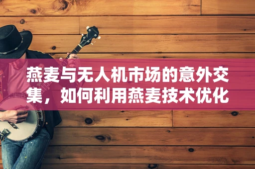 燕麦与无人机市场的意外交集，如何利用燕麦技术优化无人机续航？