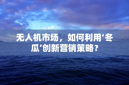 无人机市场，如何利用‘冬瓜’创新营销策略？