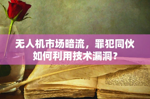 无人机市场暗流，罪犯同伙如何利用技术漏洞？