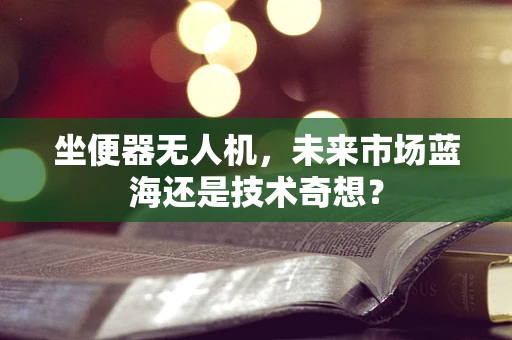 坐便器无人机，未来市场蓝海还是技术奇想？