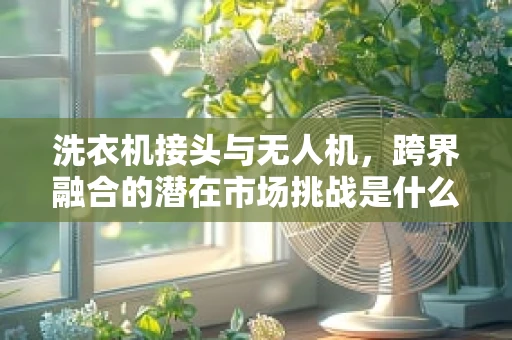 洗衣机接头与无人机，跨界融合的潜在市场挑战是什么？