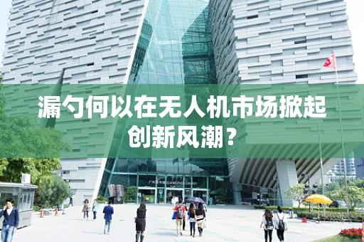 漏勺何以在无人机市场掀起创新风潮？
