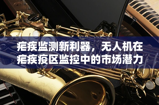 疟疾监测新利器，无人机在疟疾疫区监控中的市场潜力与挑战？