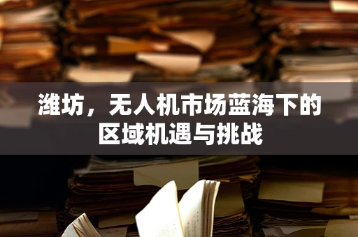 潍坊，无人机市场蓝海下的区域机遇与挑战