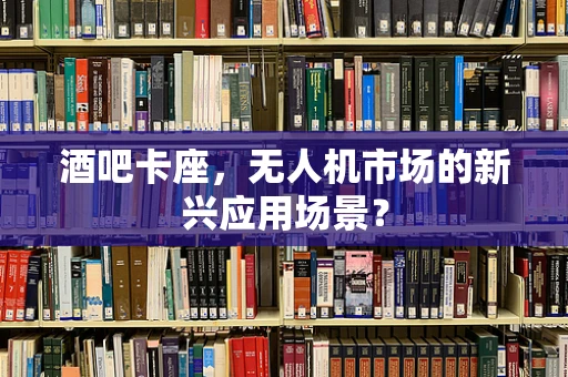 酒吧卡座，无人机市场的新兴应用场景？