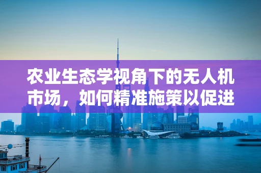 农业生态学视角下的无人机市场，如何精准施策以促进可持续农业发展？